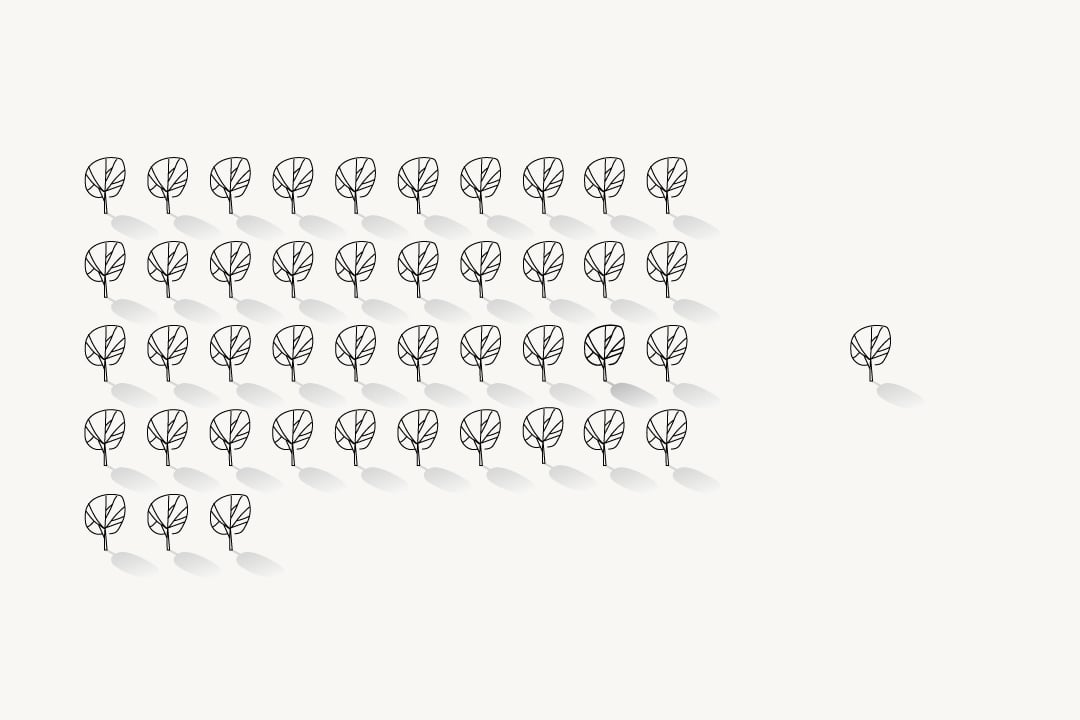1158-EW-43x-Less-Trees-v3